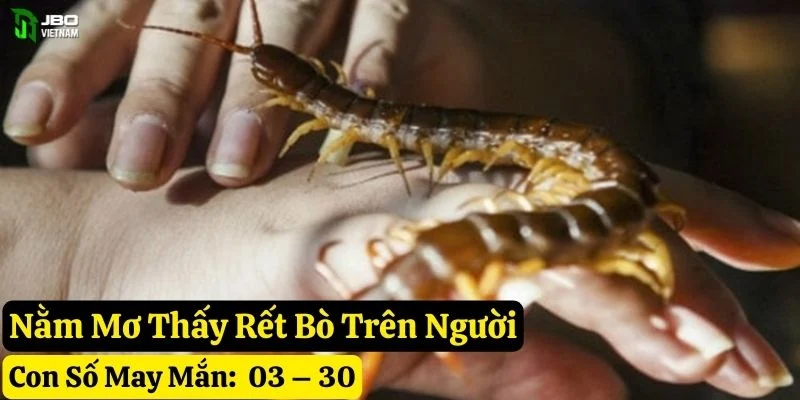 nằm mơ thấy rết jbo