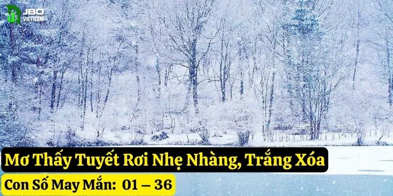 mơ thấy tuyết rơi jbo
