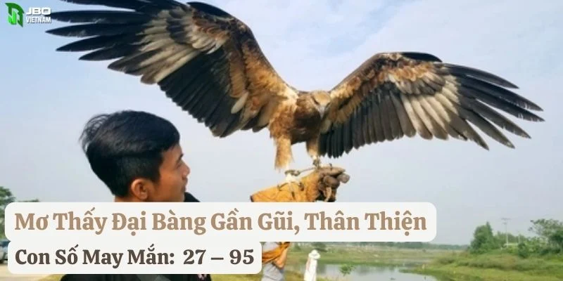 nằm mơ đại bàng