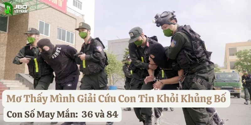 mơ thấy khủng bố jbo