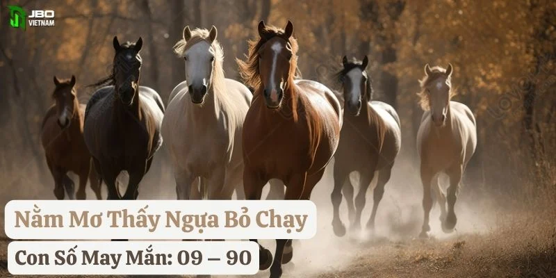 nằm mơ thấy ngựa jbo