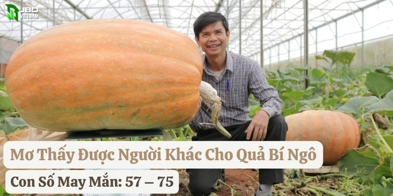 mơ thấy quả bí ngô jbo