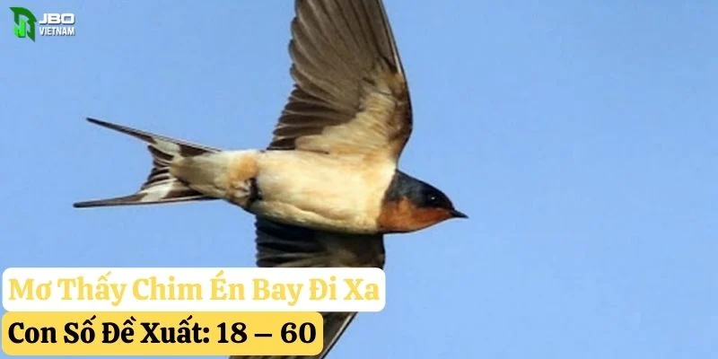 nằm mơ thấy chim én