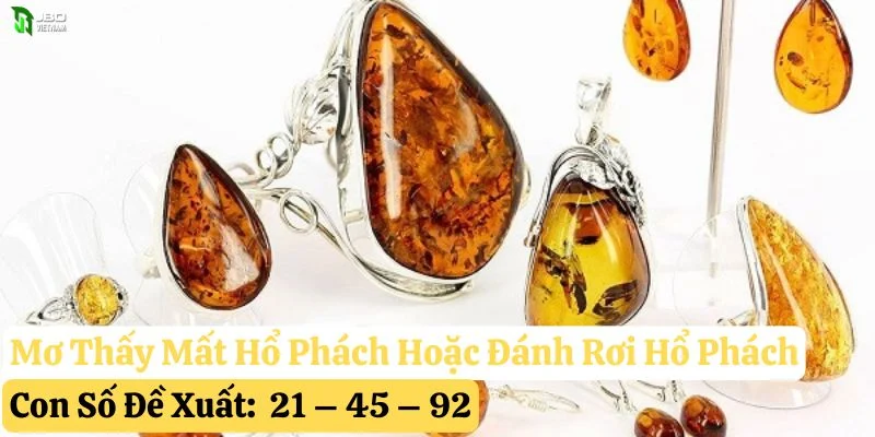 nằm mơ thấy hổ phách