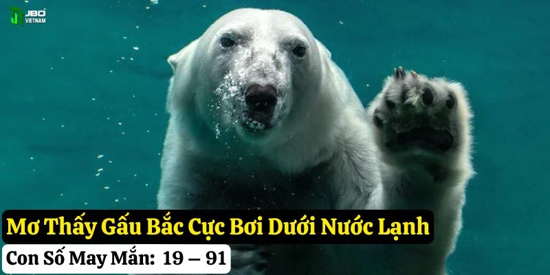 mơ thấy gấu bắc cực