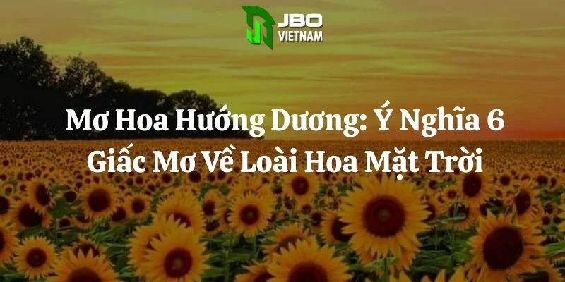 Mơ Hoa Hướng Dương: Ý Nghĩa 6 Giấc Mơ Về Loài Hoa Mặt Trời