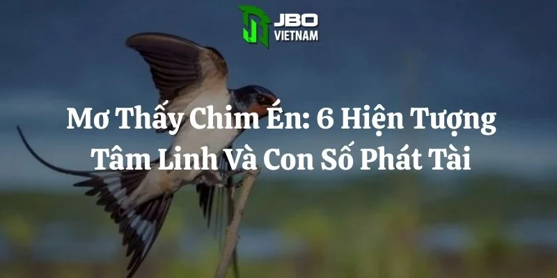 Mơ Thấy Chim Én: 6 Hiện Tượng Tâm Linh Và Con Số Phát Tài