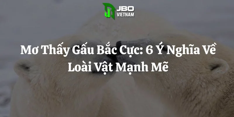 Mơ Thấy Gấu Bắc Cực: 6 Ý Nghĩa Về Loài Vật Mạnh Mẽ