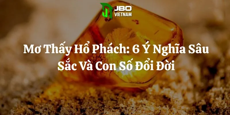 Mơ Thấy Hổ Phách: 6 Ý Nghĩa Sâu Sắc Và Con Số Đổi Đời