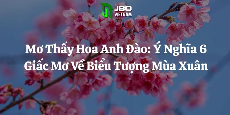 Mơ Thấy Hoa Anh Đào: Ý Nghĩa 6 Giấc Mơ Về Biểu Tượng Mùa Xuân