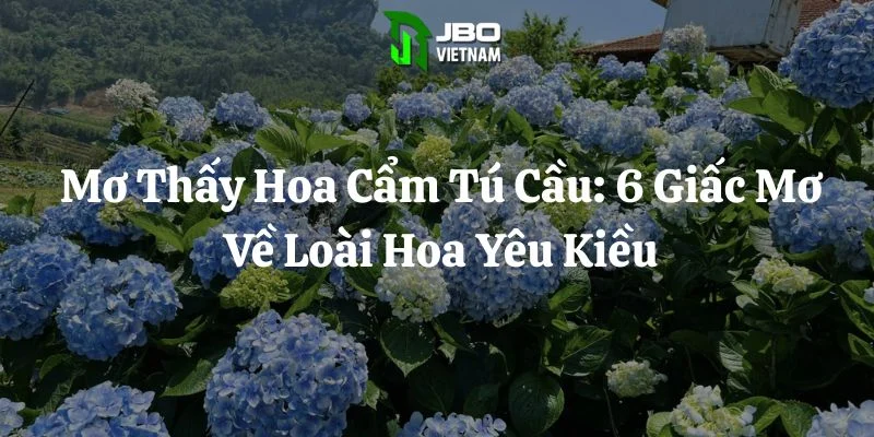 Mơ Thấy Hoa Cẩm Tú Cầu: 6 Giấc Mơ Về Loài Hoa Yêu Kiều