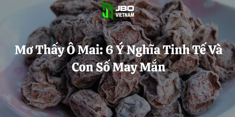 Mơ Thấy Ô Mai: 6 Ý Nghĩa Tinh Tế Và Con Số May Mắn