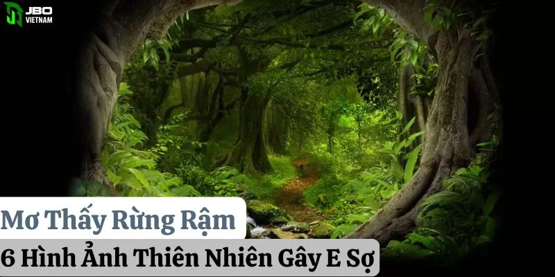 Mơ Thấy Rừng Rậm: 6 Hình Ảnh Thiên Nhiên Gây E Sợ