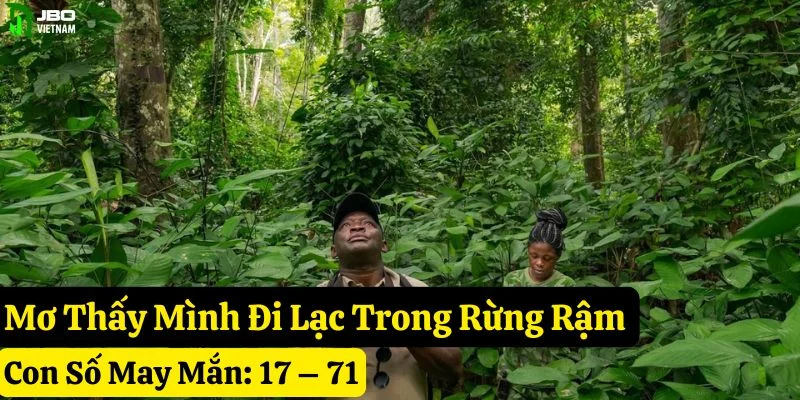 mơ thấy rừng rậm