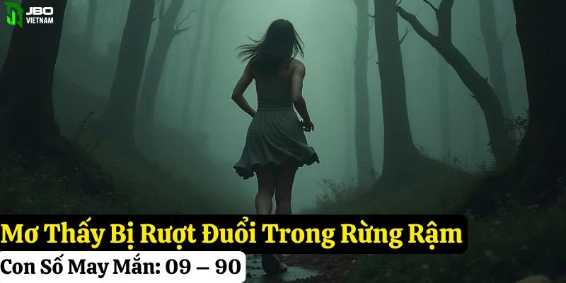 nằm mơ thấy rừng rậm
