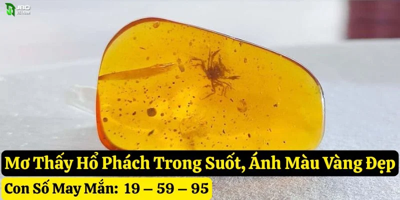 mơ thấy hổ phách jbo
