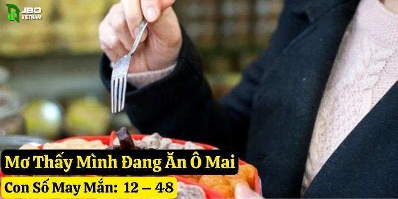 mơ thấy ô mai jbo