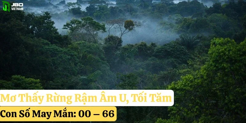 mơ thấy rừng rậm jbo